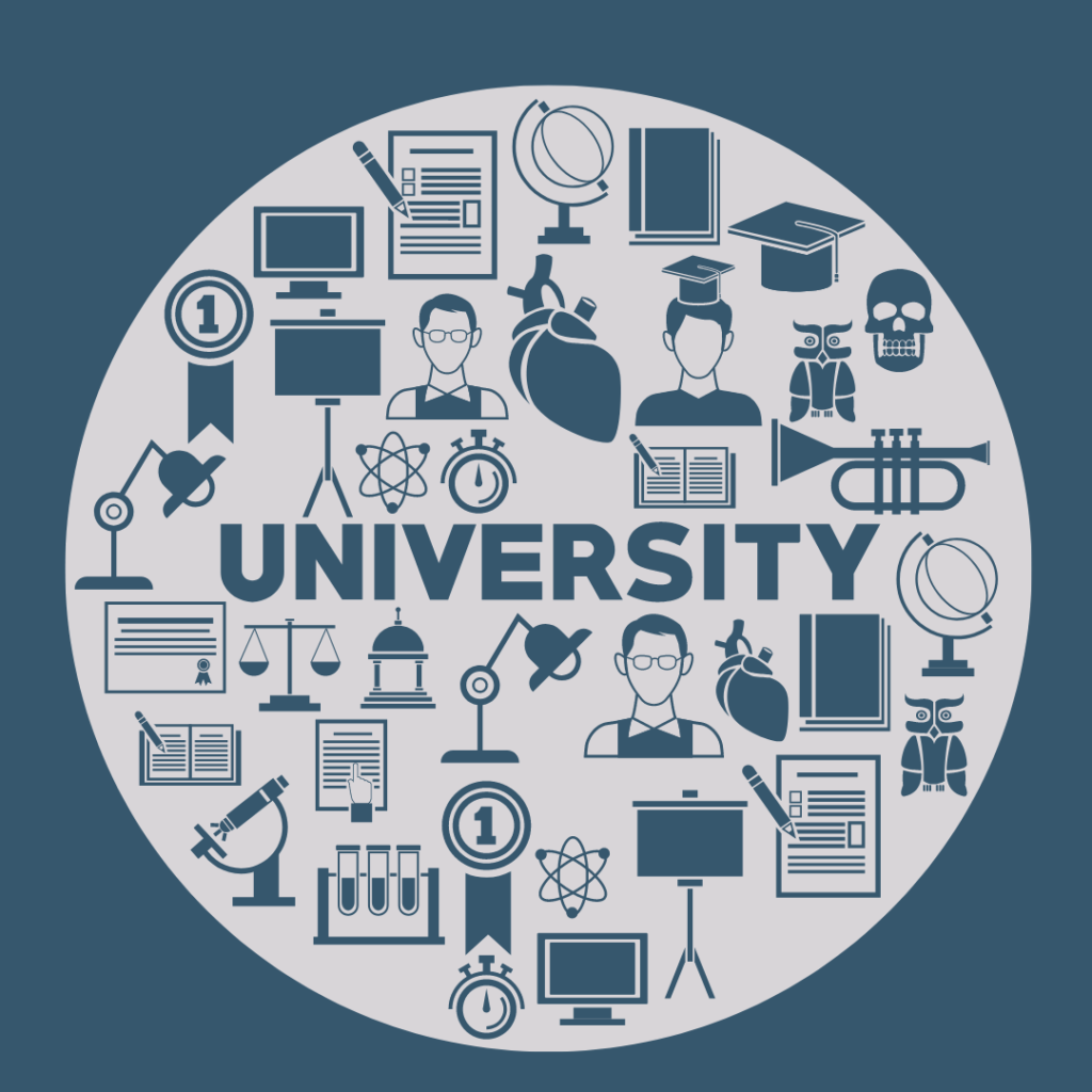 Vidhyavaaradhi - University